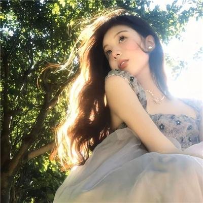 顽皮豹之星